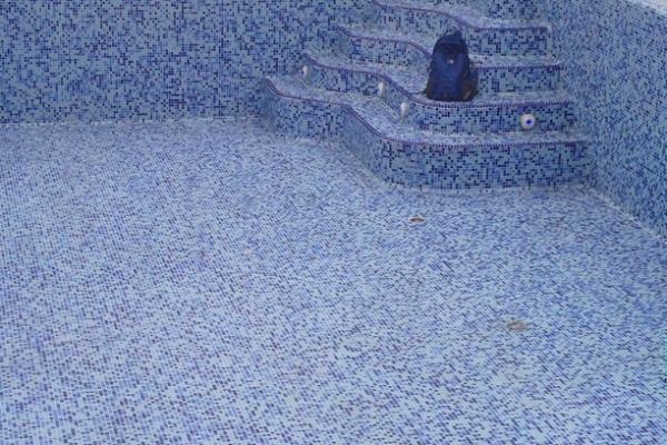 Private swimming pool Avala